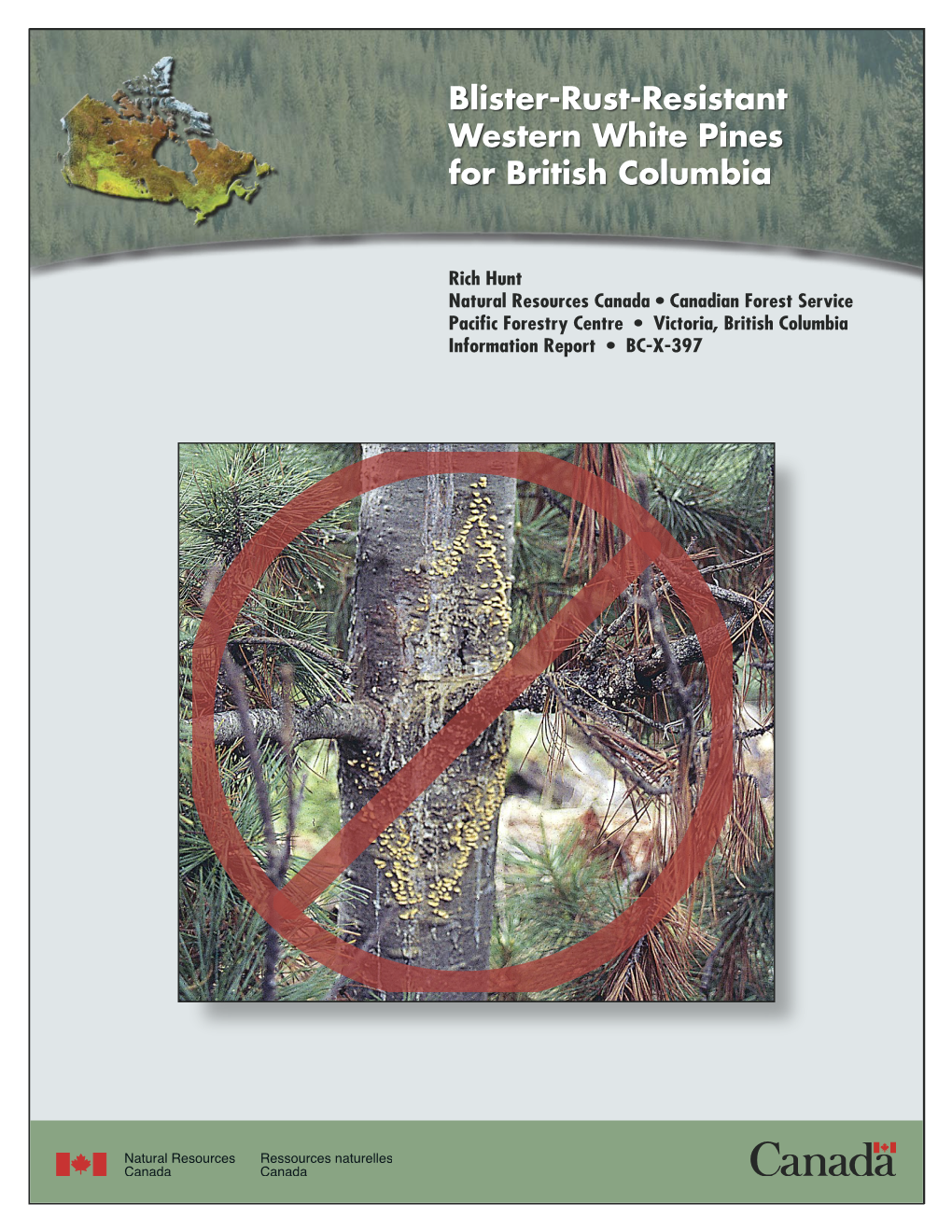 Blister-Rust-Resistant Western White Pines for British Columbia