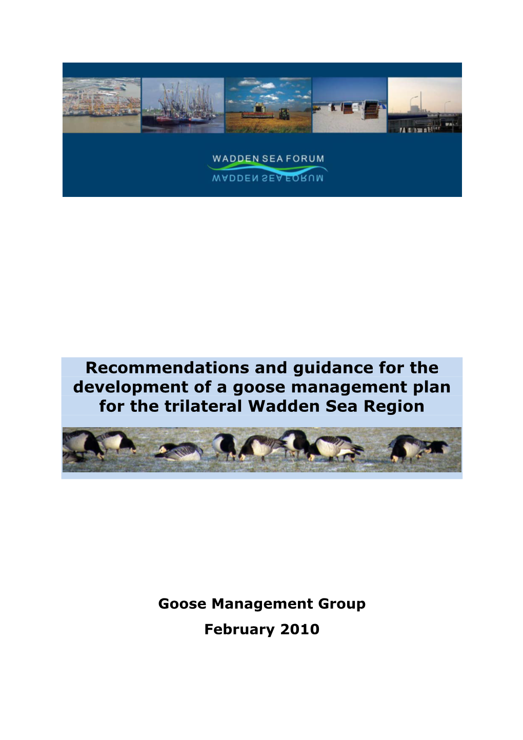 Recommendations and Guidance for the Development of a Goose Management Plan for the Trilateral Wadden Sea Region