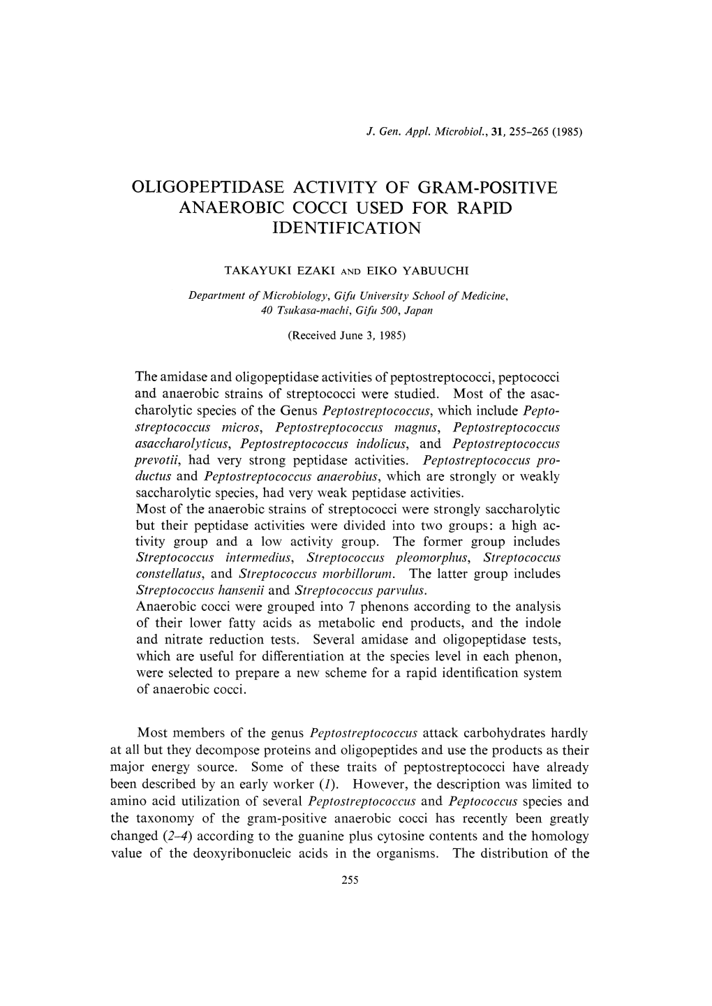 Oligopeptidase Activity of Gram-Positive Anaerobic Cocci Used for Rapid Identification