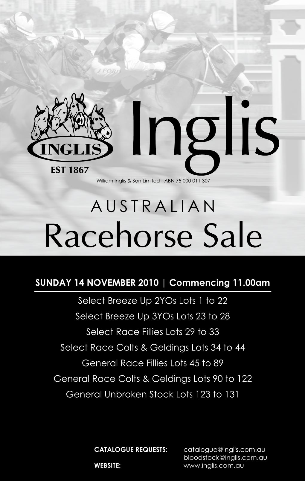 Racehorse Sale