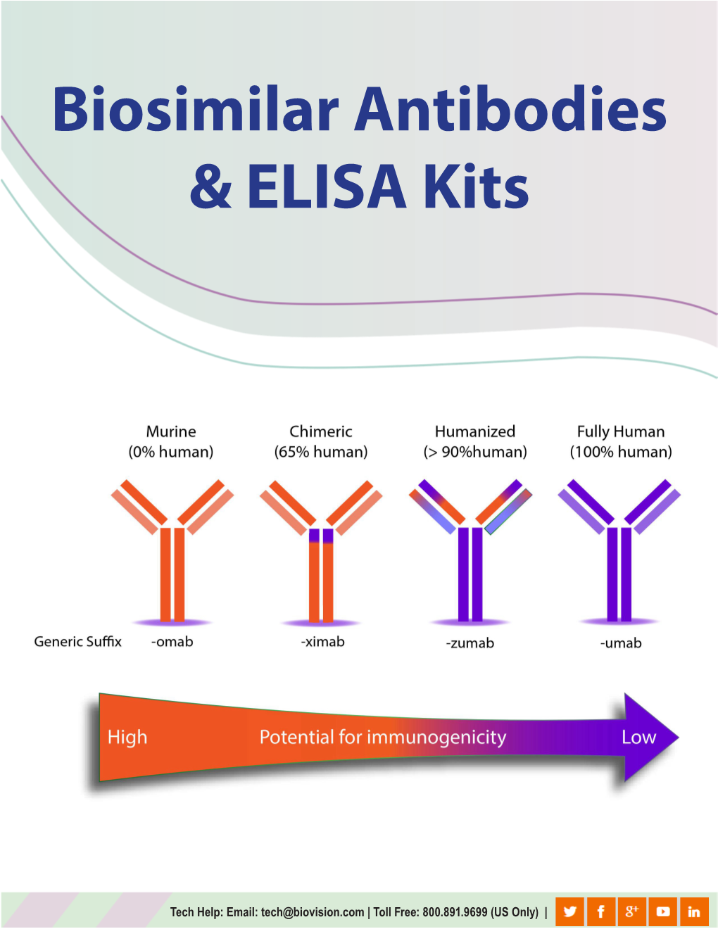 Biosimilar Antibodies & ELISA Kits