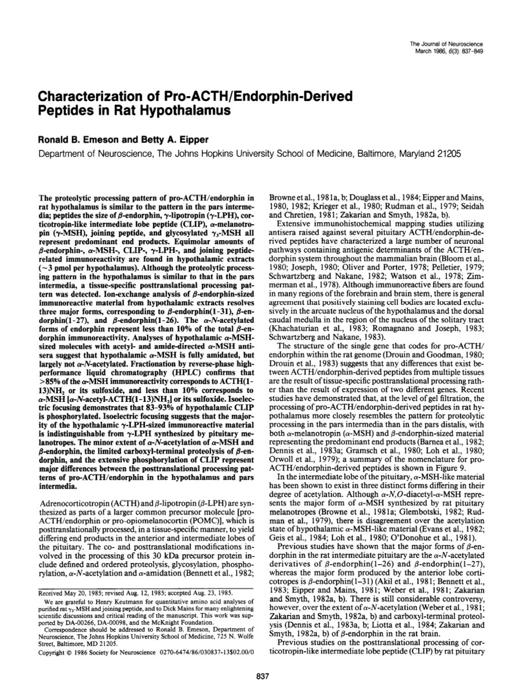 Characterization of Pro-ACTH/Endorphin-Derived Peptides in Rat Hypothalamus