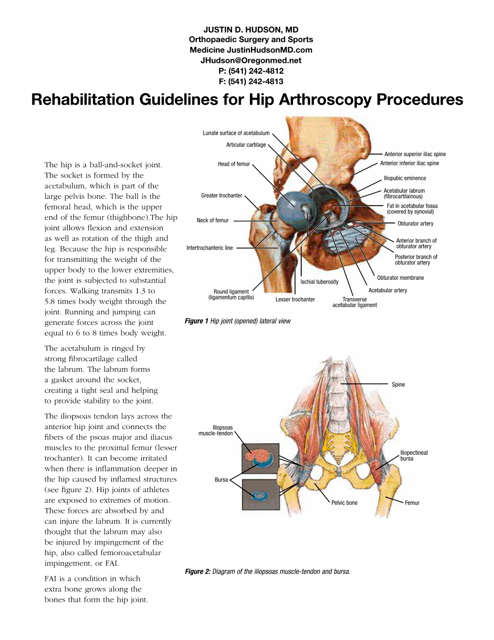 Rehabilitation Guidelines for Hip Arthroscopy Procedures