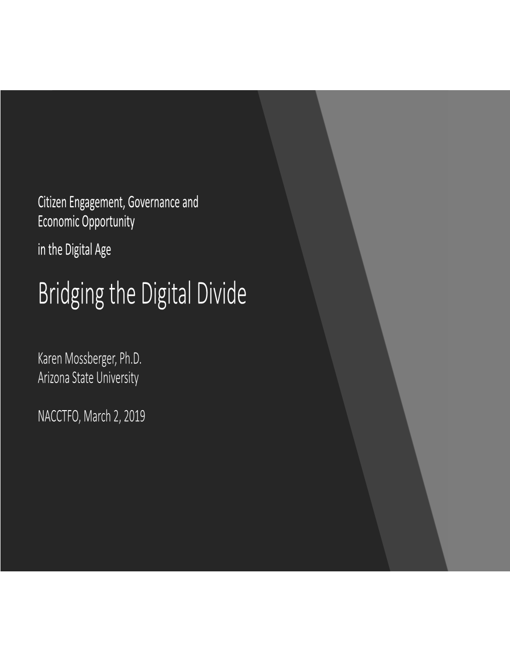 Bridging the Digital Divide