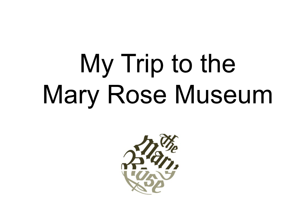 We Want You to Have a Great Time at the Mary Rose Museum!