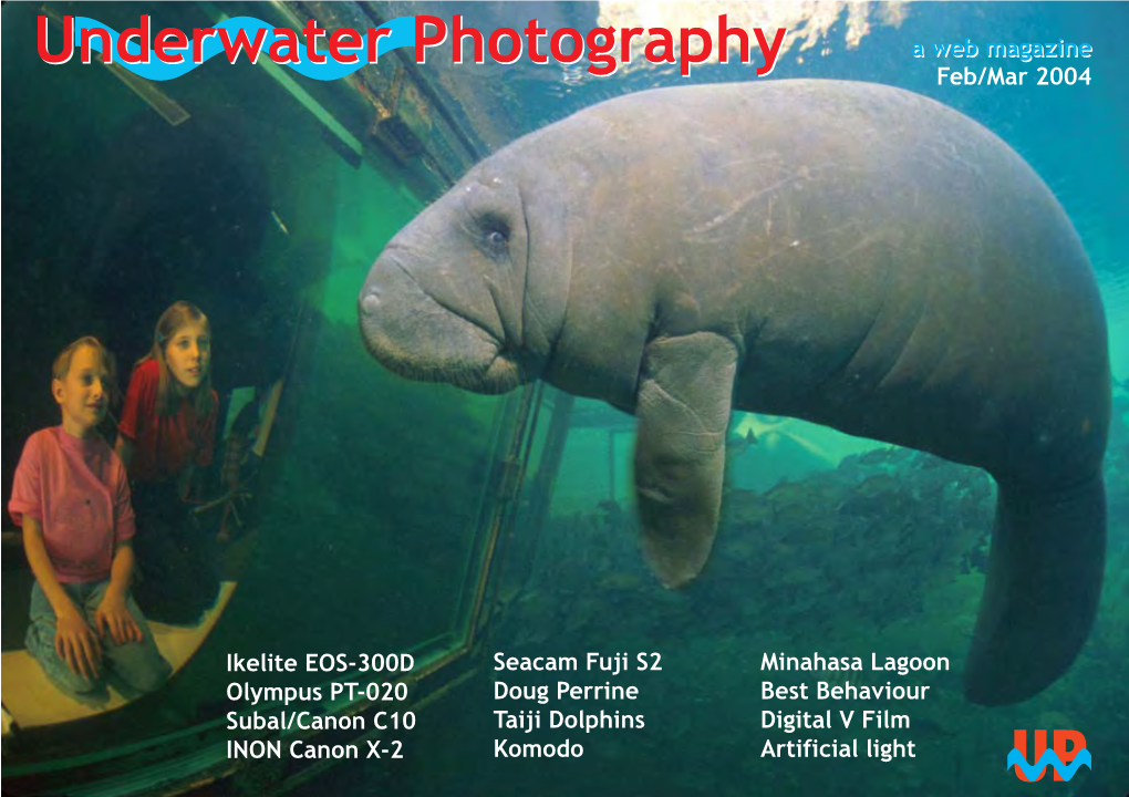 Underwater Photography Aa Webweb Magazinemagazine Underwater Photography Feb/Mar 2004