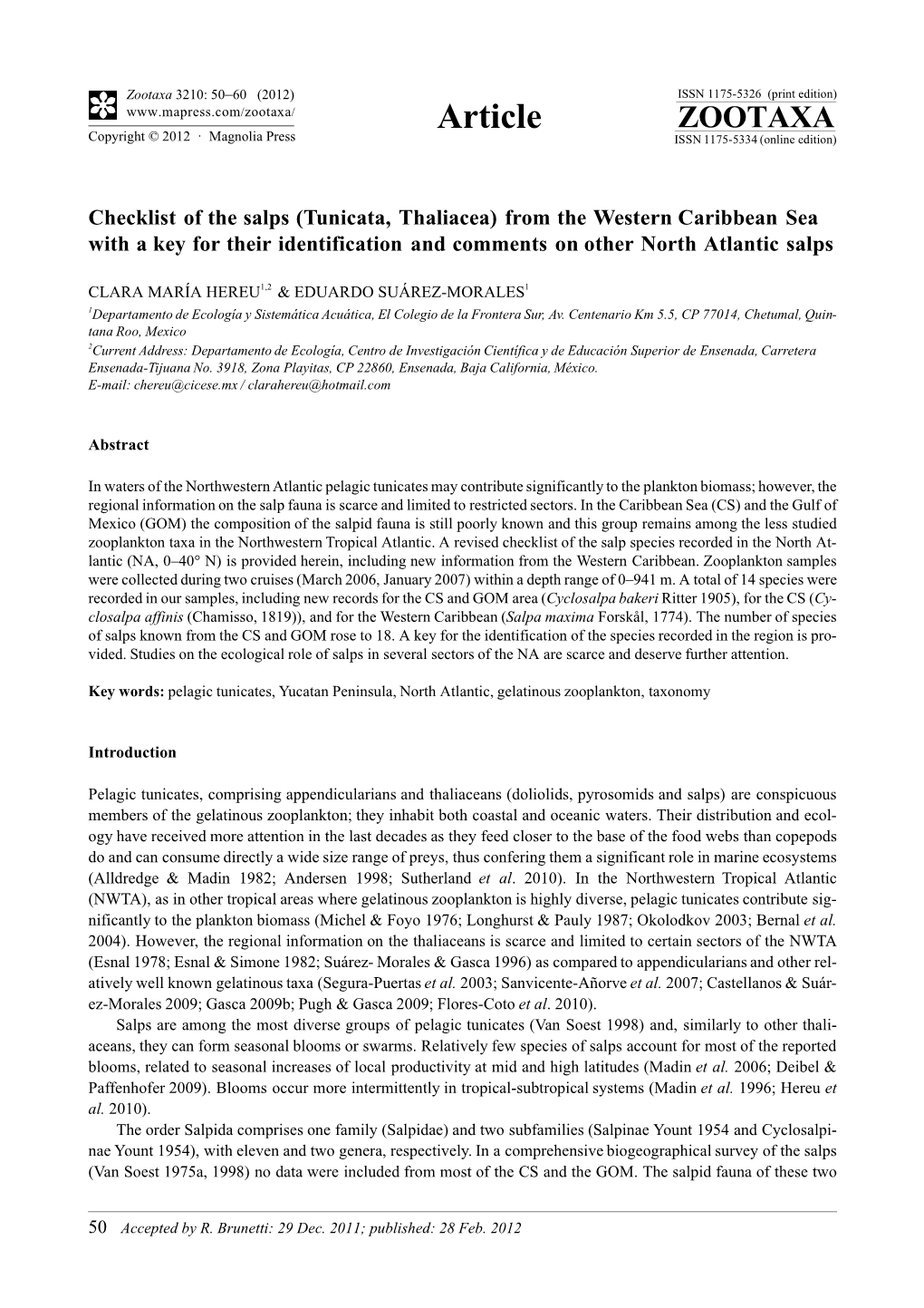 Checklist of the Salps (Tunicata, Thaliacea) from the Western Caribbean Sea with a Key for Their Identification and Comments on Other North Atlantic Salps