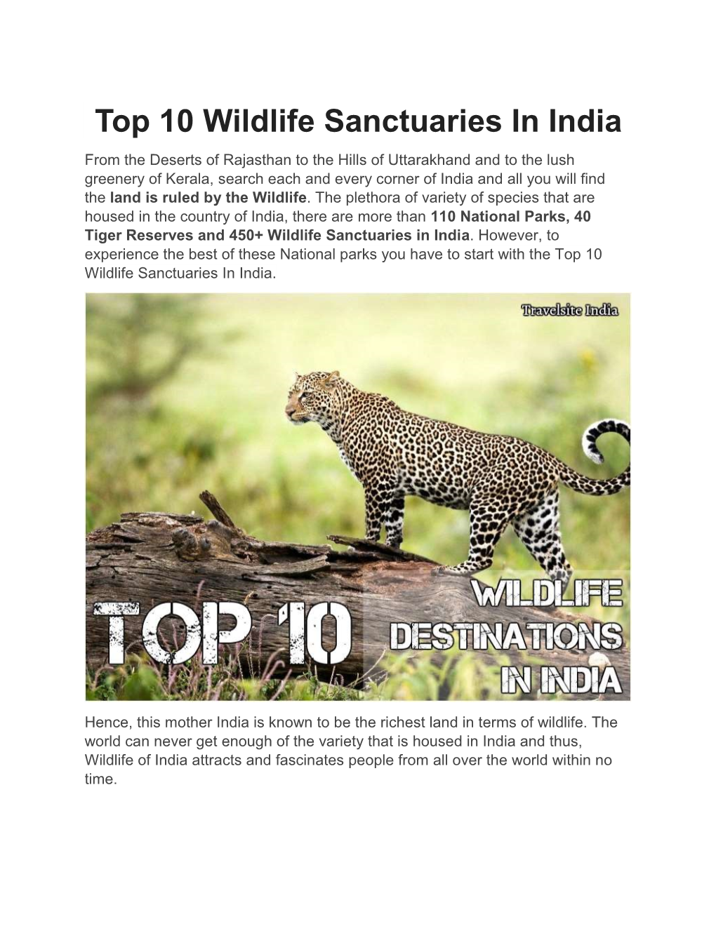 Top 10 Wildlife Sanctuaries in India