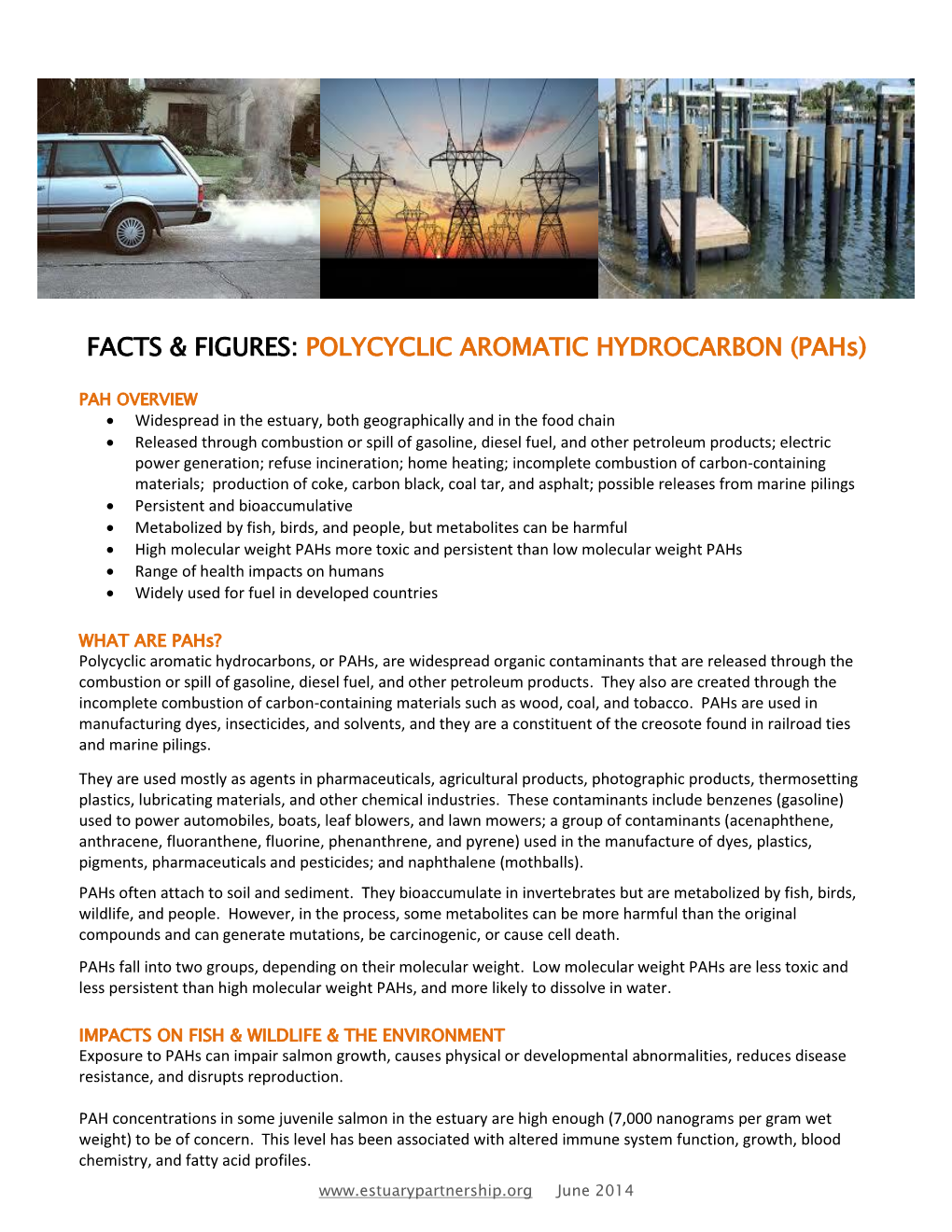 FACTS & FIGURES: POLYCYCLIC AROMATIC HYDROCARBON (Pahs)