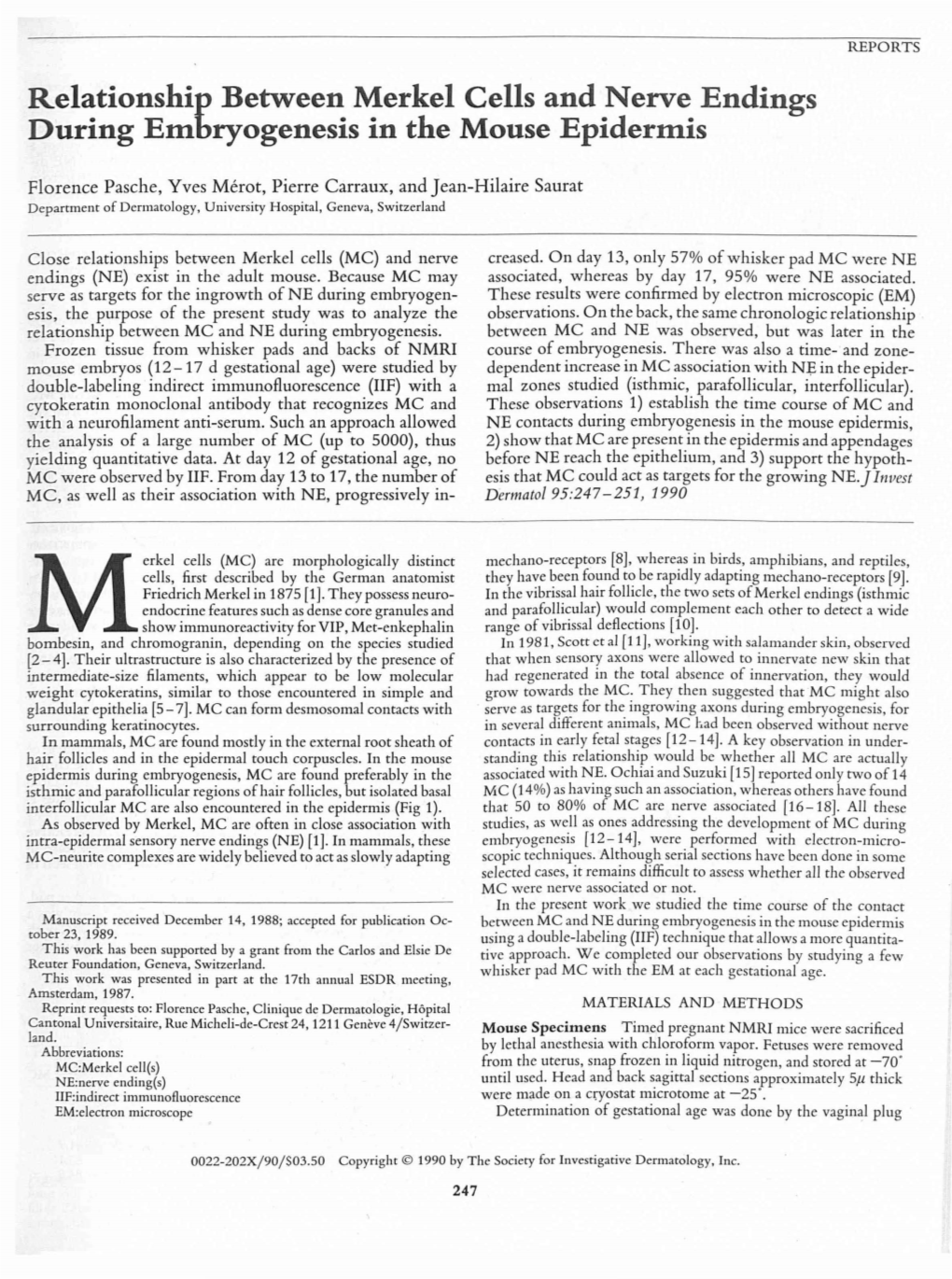 Relationship Between Merkel Cells and Nerve Endings During Embryogenesis in the Mouse Epidermis