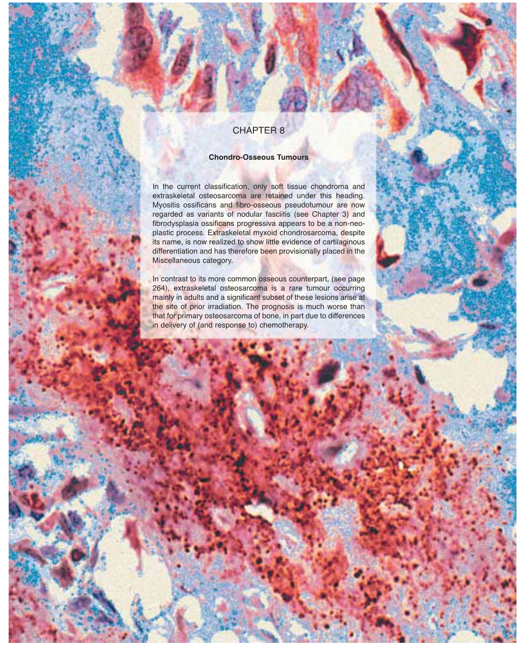 Extraskeletal Osteosarcoma Are Retained Under This Heading