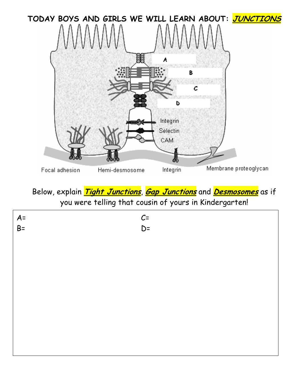 Today Boys and Girls We Will Learn About: Junctions