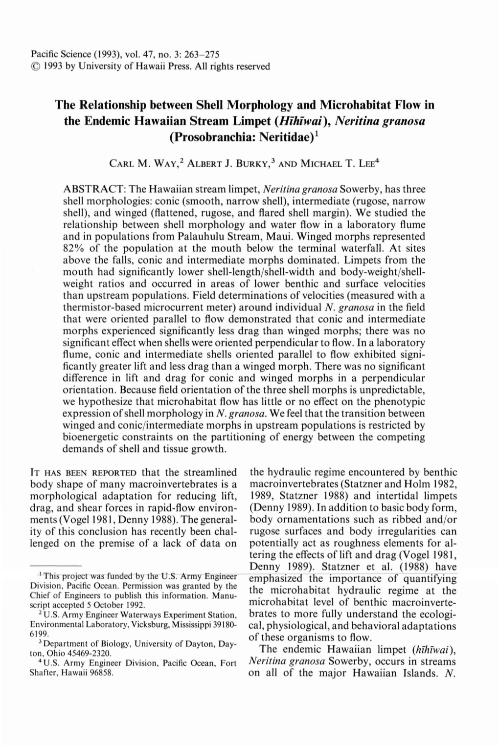 The Relationship Between Shell Morphology and Microhabitat Flow in the Endemic Hawaiian Stream Limpet (Hihiwai), Neritina Granosa (Prosobranchia: Neritidae) 1