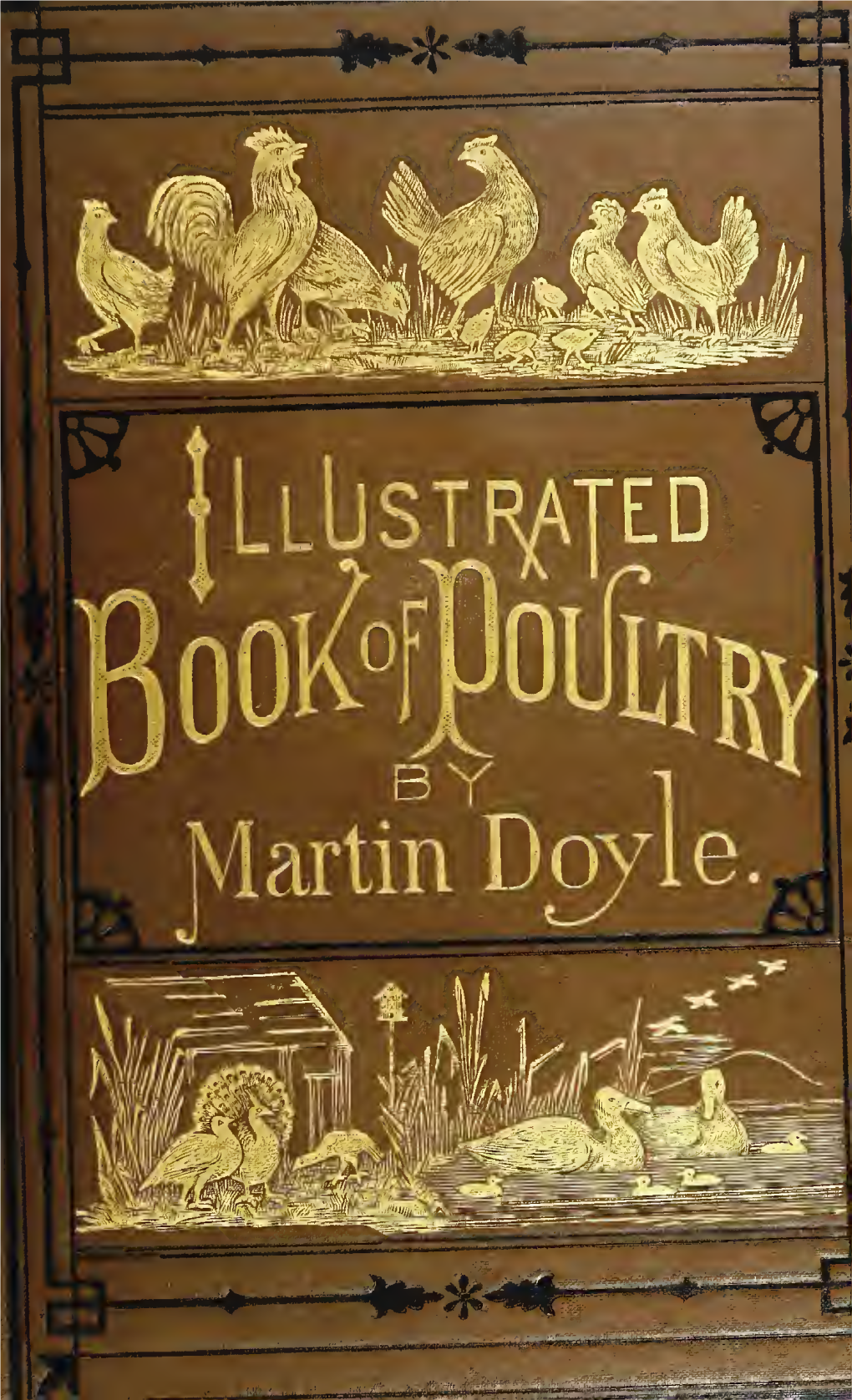 The Illustrated Book of Domestic Poultry