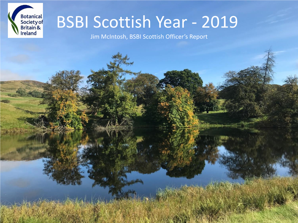 BSBI Scottish Year - 2019 Jim Mcintosh, BSBI Scottish Officer’S Report BSBI Christmas Lunch