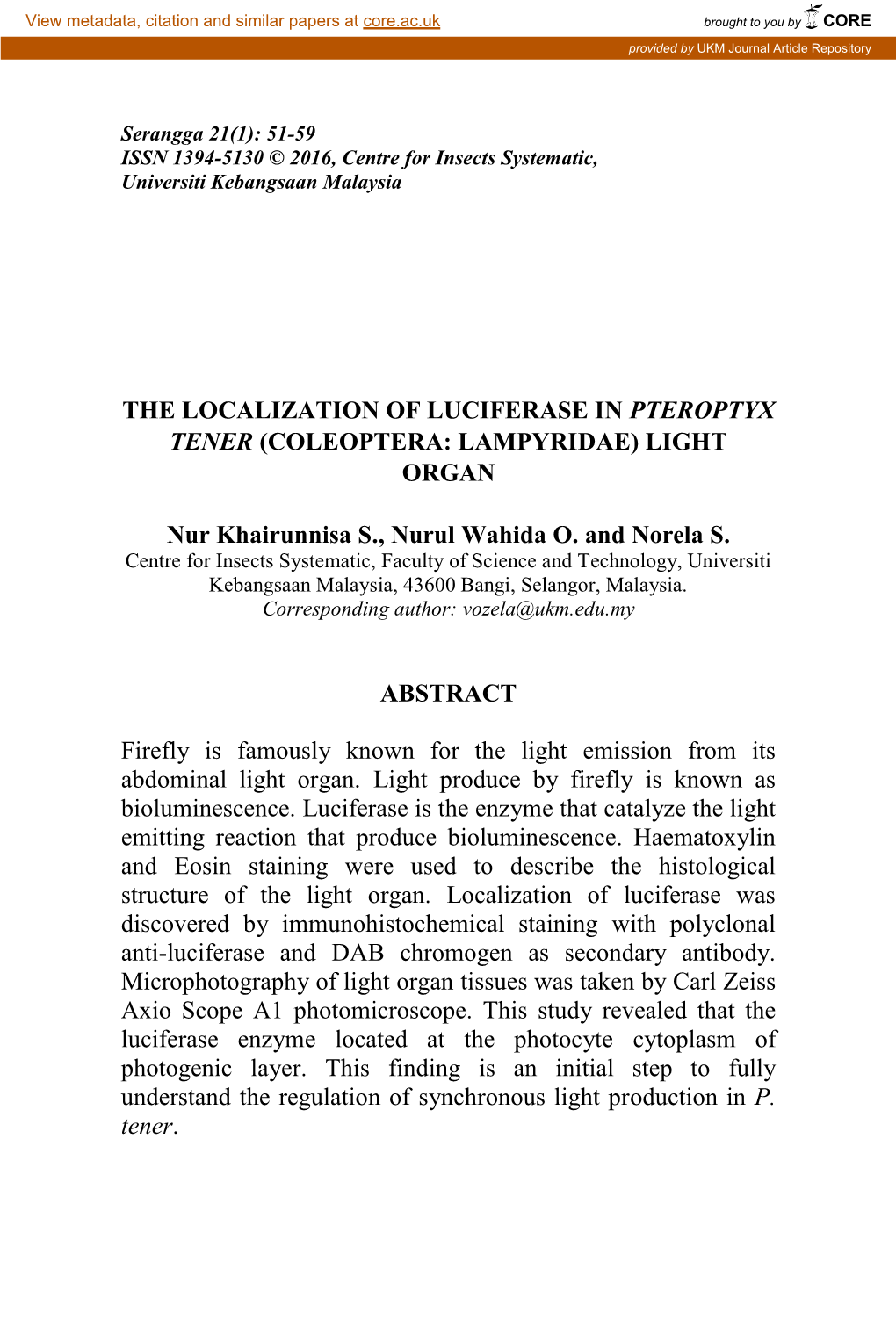 The Localization of Luciferase in Pteroptyx Tener (Coleoptera: Lampyridae) Light Organ