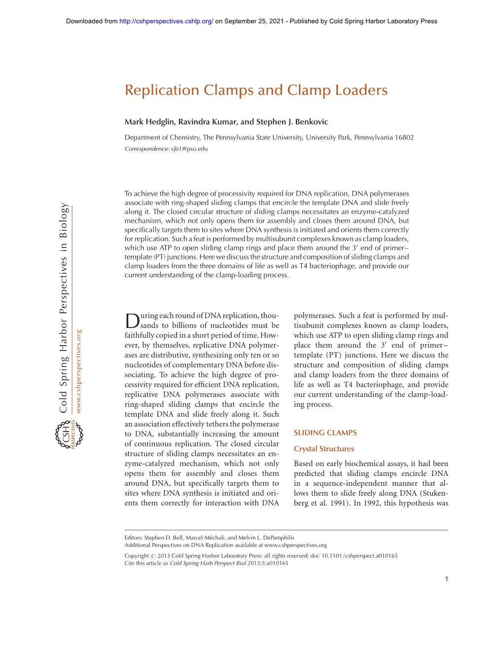 Replication Clamps and Clamp Loaders