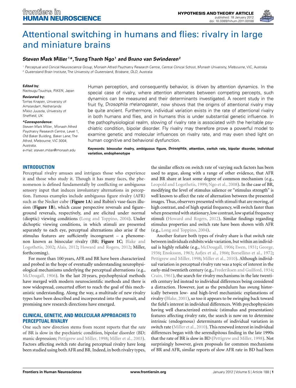 Rivalry in Large and Miniature Brains