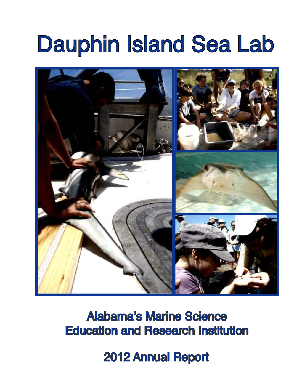 Dauphin Island Sea Lab Foundation