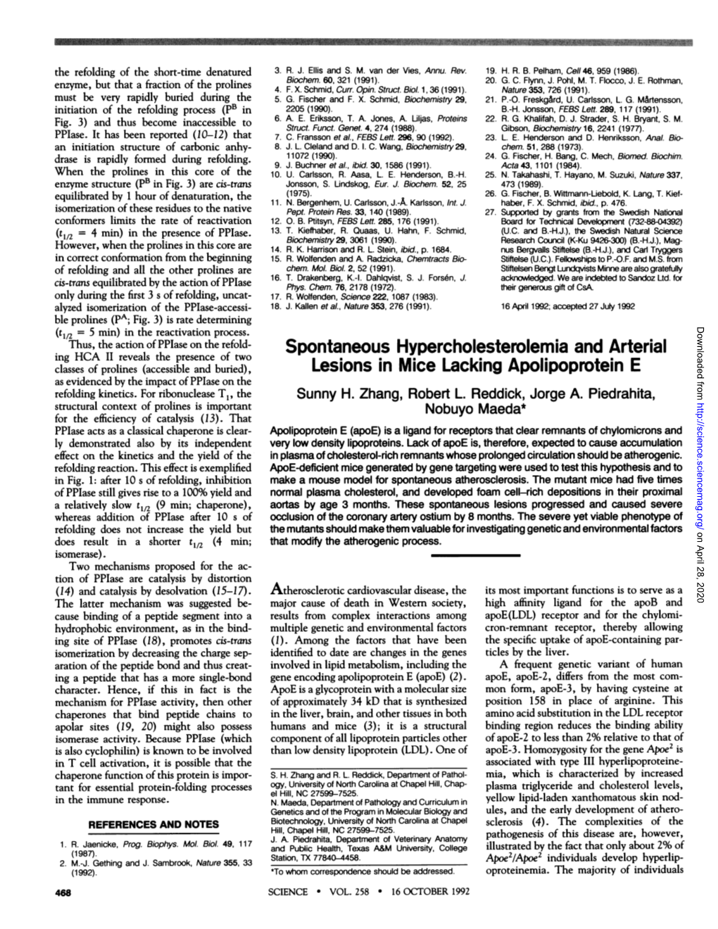 Spontaneous Hypercholesterolemia and Arterial Lesions in Mice Lacking Apolipoprotein E SH Zhang, RL Reddick, JA Piedrahita and N Maeda