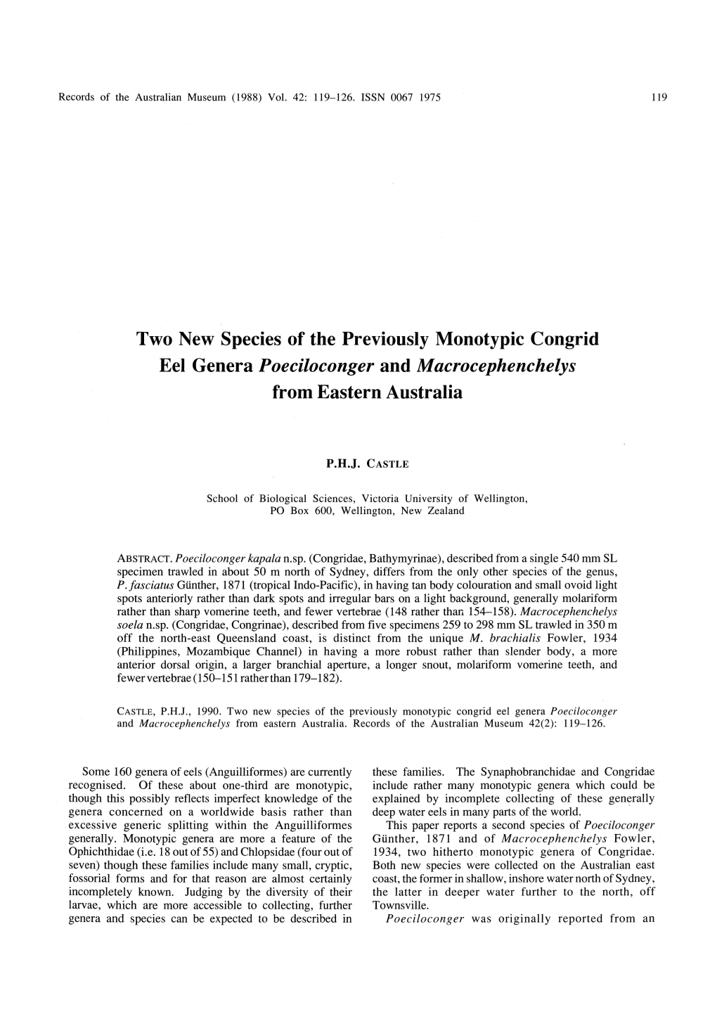 Two New Species of the Previously Monotypic Congrid Eel Genera Poeciloconger and Macrocephenchelys from Eastern Australia