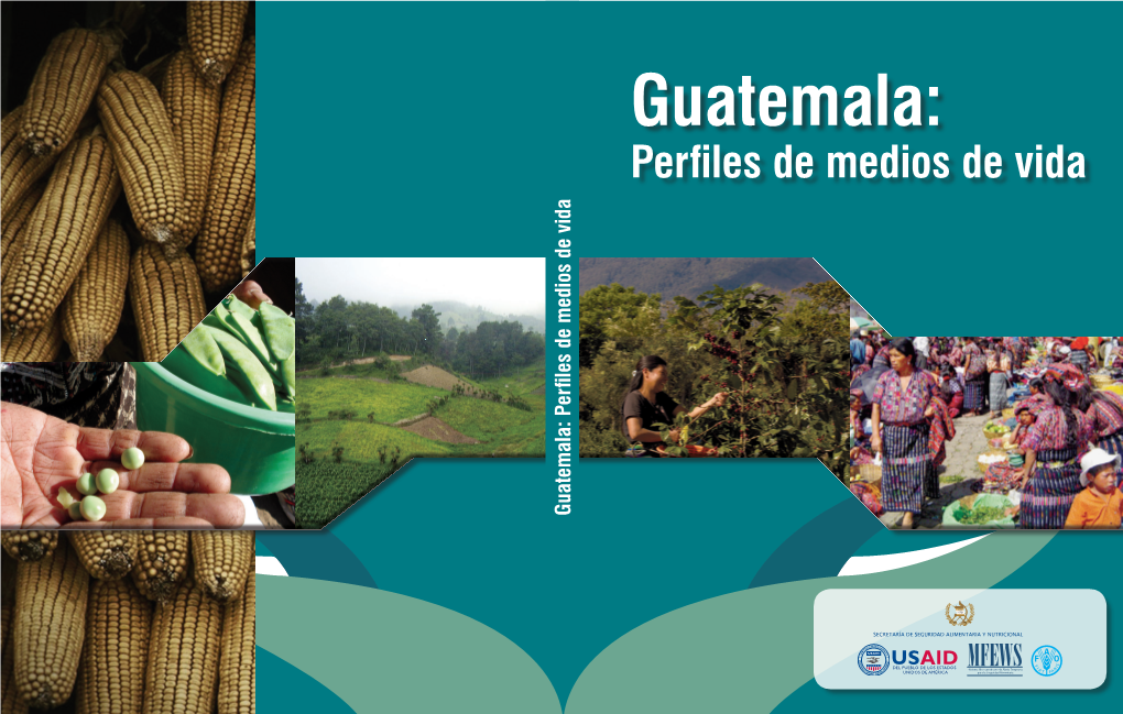 Guatemala: Perfiles De Medios De Vida