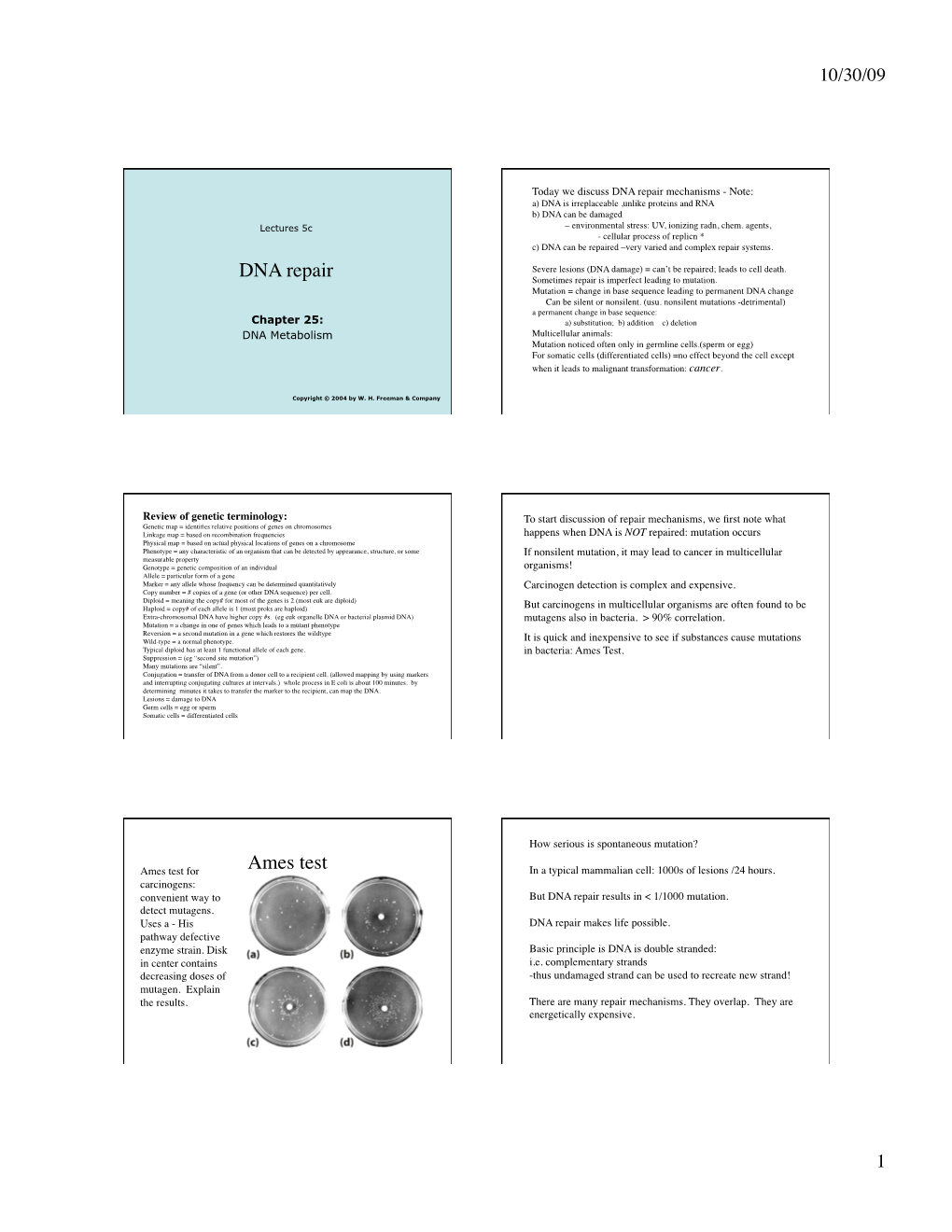 DNA Repair Ames Test