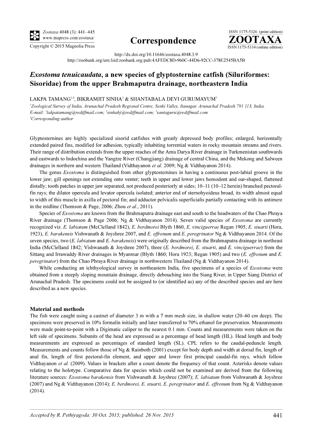 Exostoma Tenuicaudata, a New Species of Glyptosternine Catfish (Siluriformes: Sisoridae) from the Upper Brahmaputra Drainage, Northeastern India