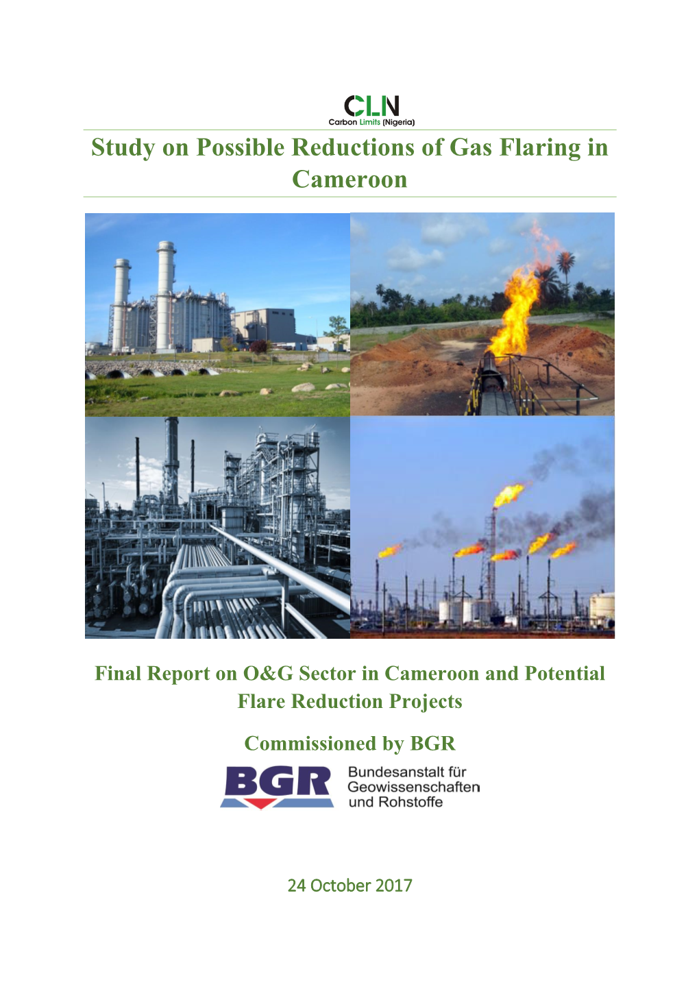 Study on Possible Reductions of Gas Flaring in Cameroon