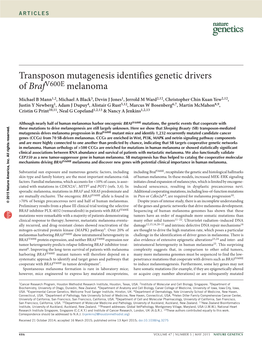 Transposon Mutagenesis Identifies Genetic Drivers of Brafv600e Melanoma