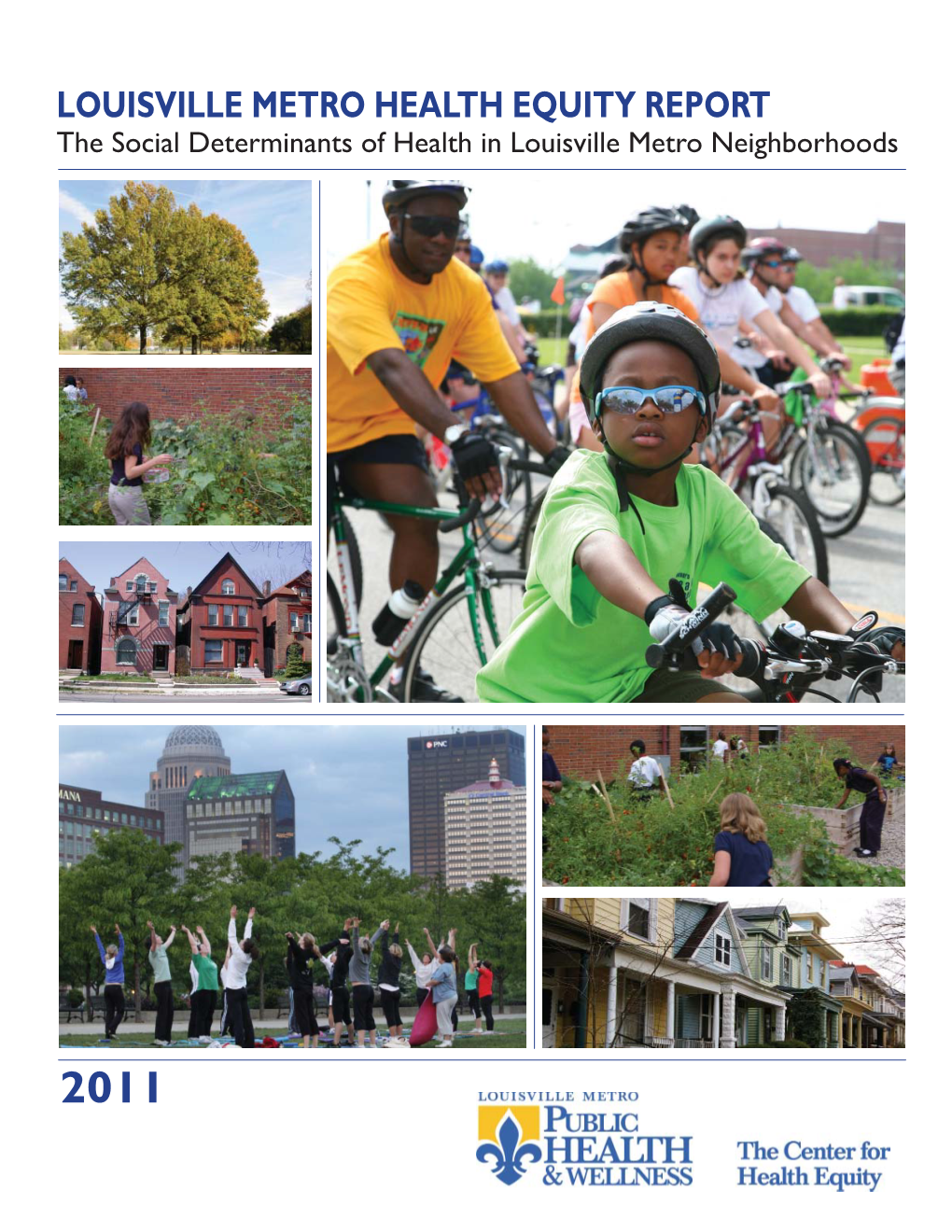 LOUISVILLE METRO HEALTH EQUITY REPORT the Social Determinants of Health in Louisville Metro Neighborhoods