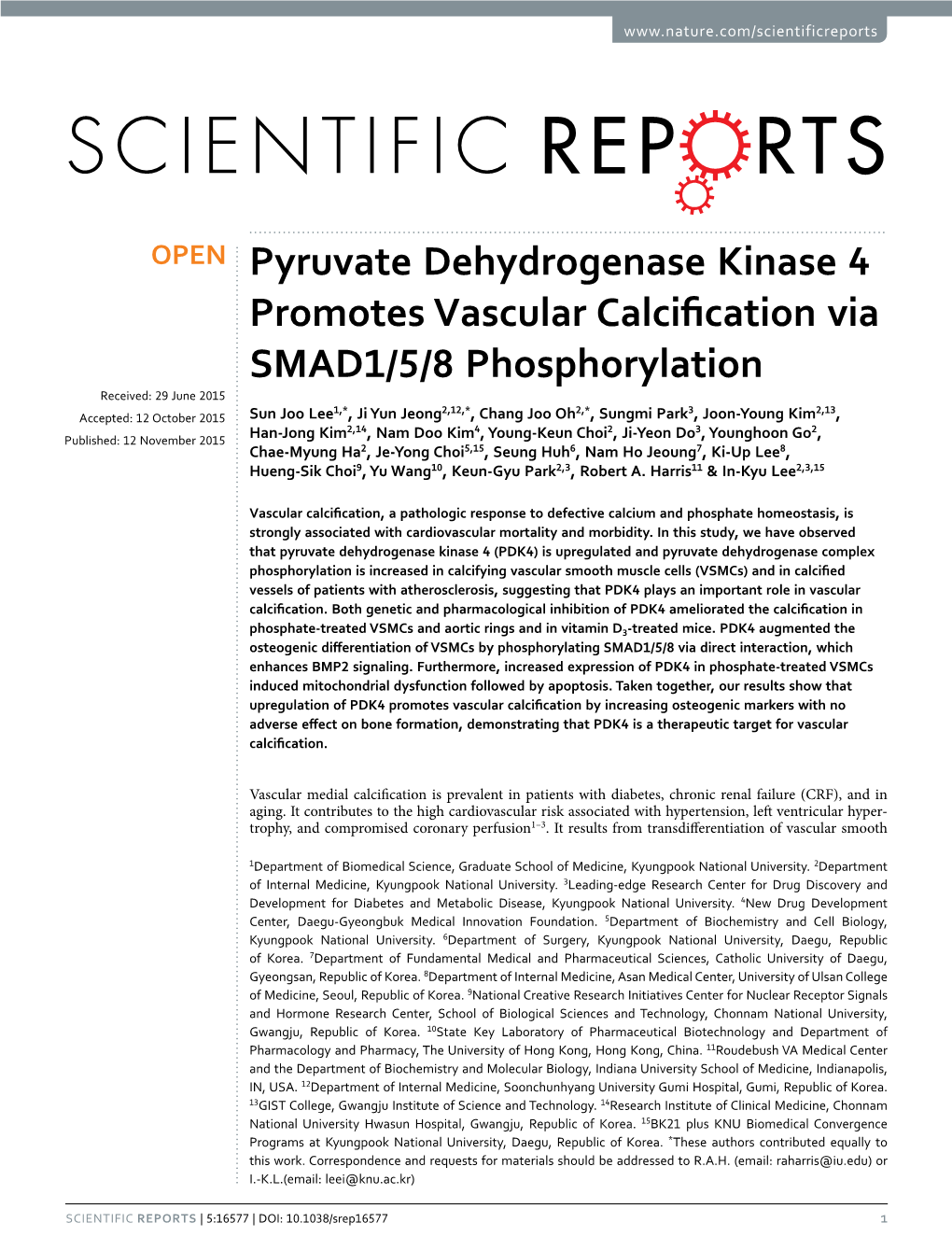 Pyruvate Dehydrogenase Kinase 4 Promotes Vascular Calcification Via
