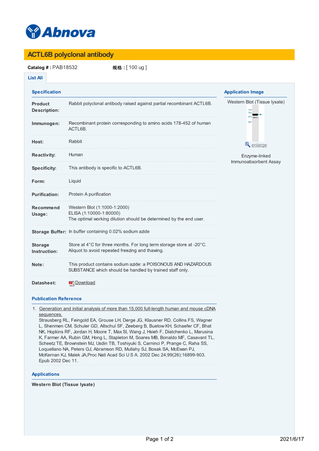 ACTL6B Polyclonal Antibody