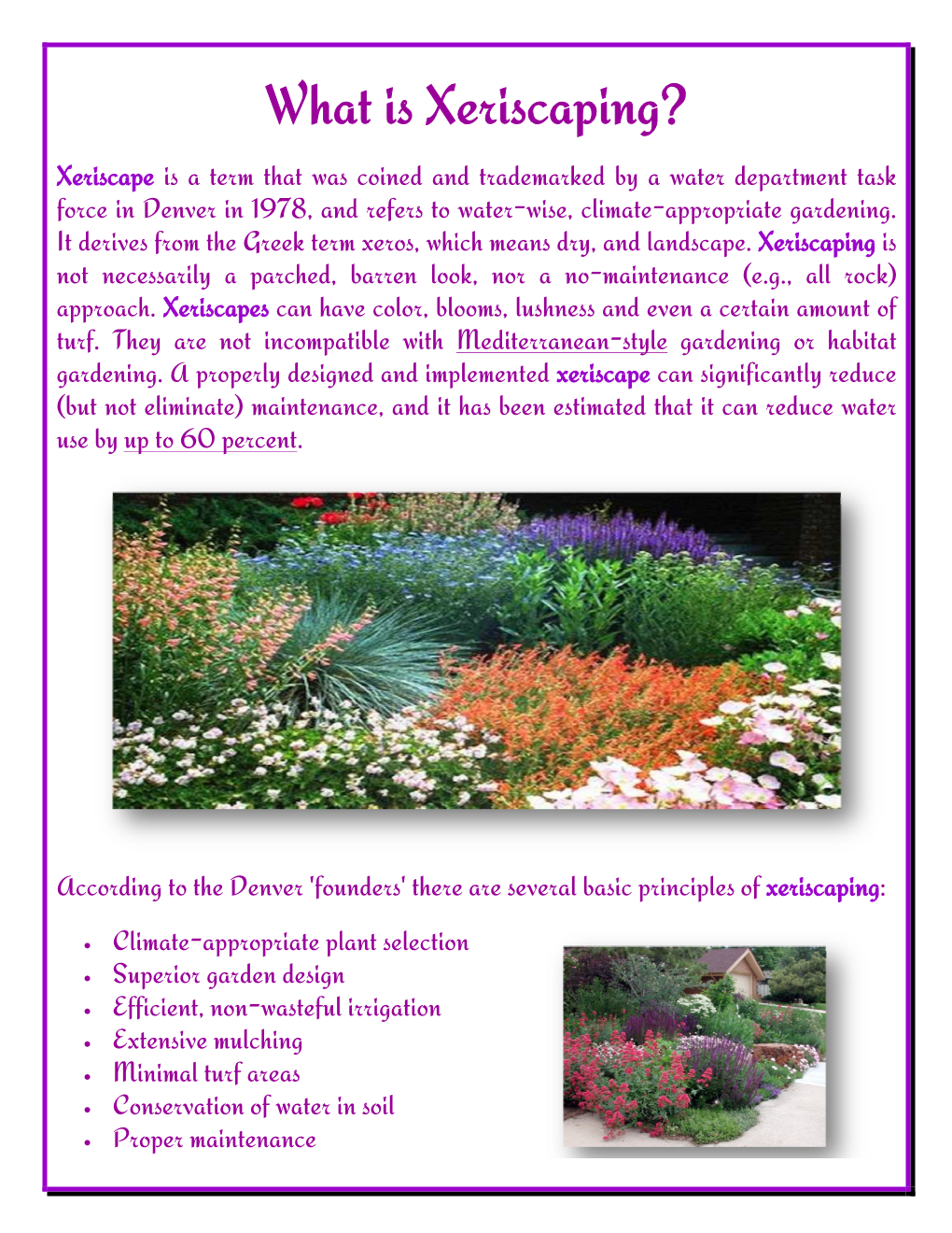 What Is Xeriscaping?