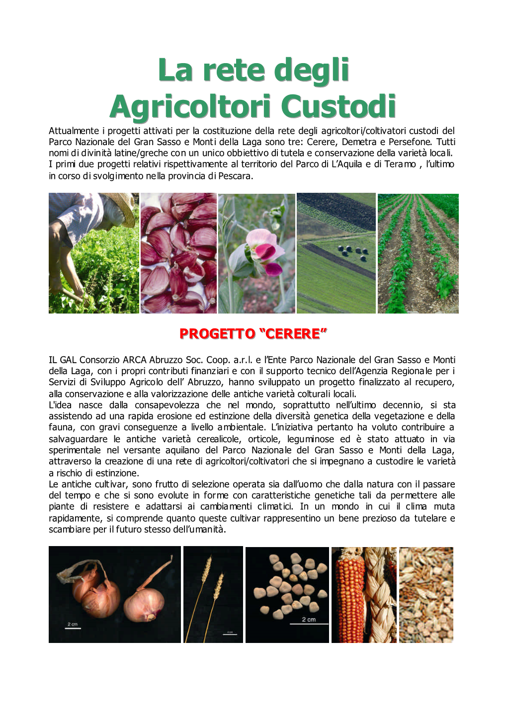 La Rete Degli Agricoltori Custodi Presso La Comunità Locale;