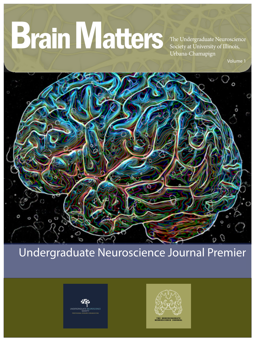 Brain Matters the Undergraduate Neuroscience