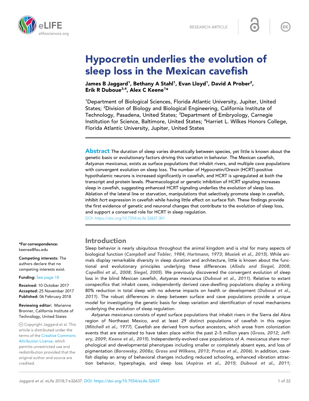 Hypocretin Underlies the Evolution of Sleep Loss in the Mexican Cavefish