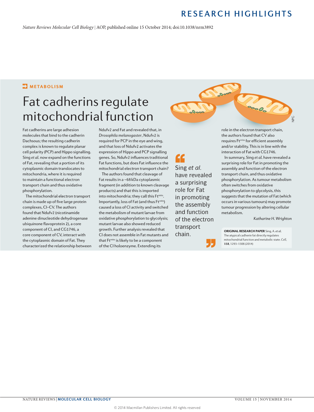 Fat Cadherins Regulate Mitochondrial Function