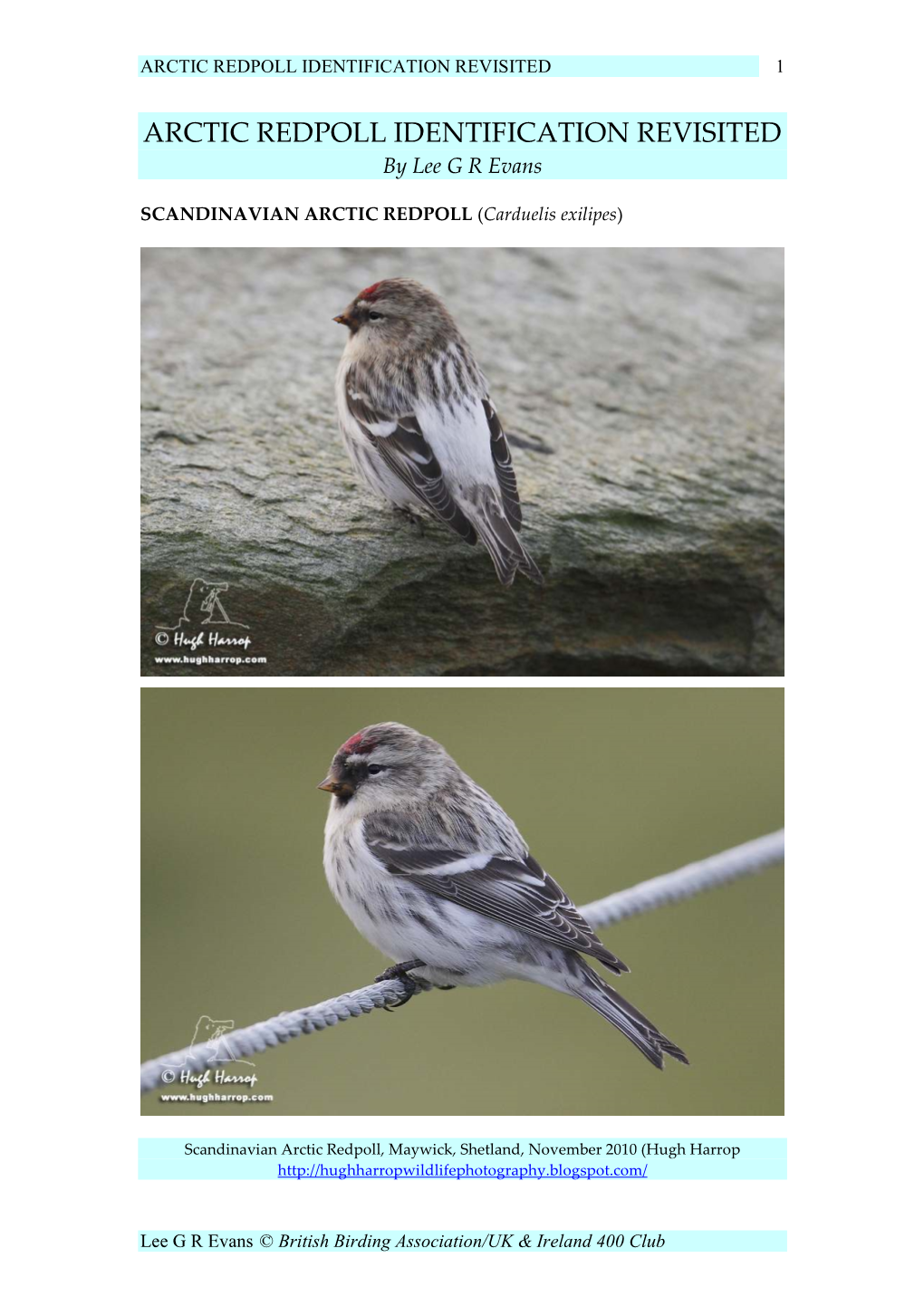 Arctic Redpoll Identification Revisited 1