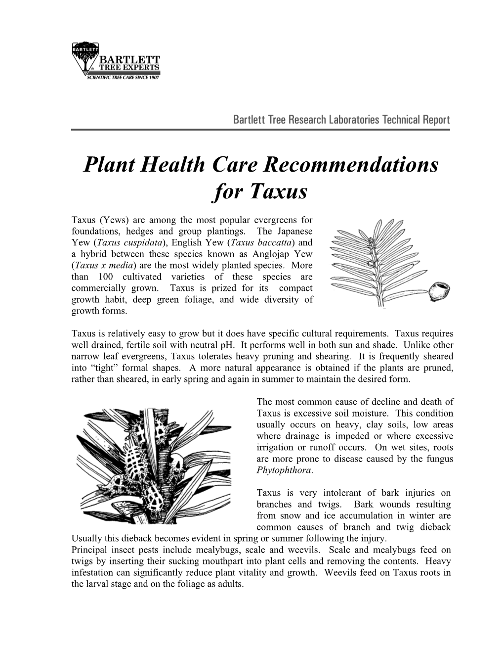 Plant Health Care Recommendations for Taxus