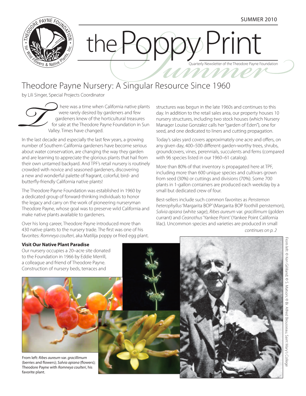 Theodore Payne Nursery: a Singular Resource Since 1960 by Lili Singer, Special Projects Coordinator