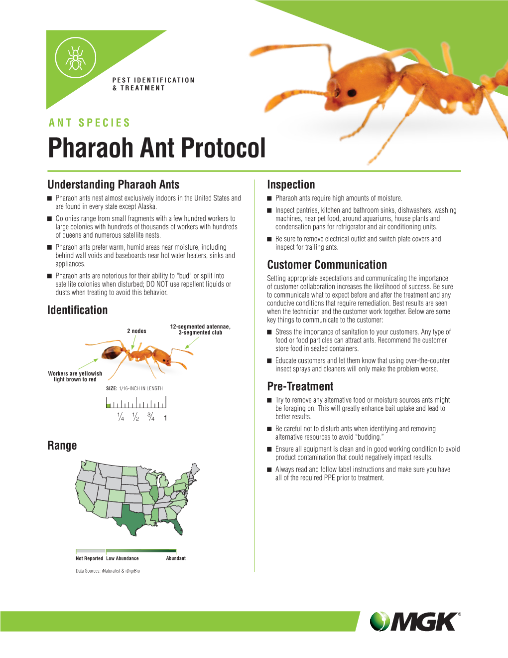 Pharaoh Ant Protocol