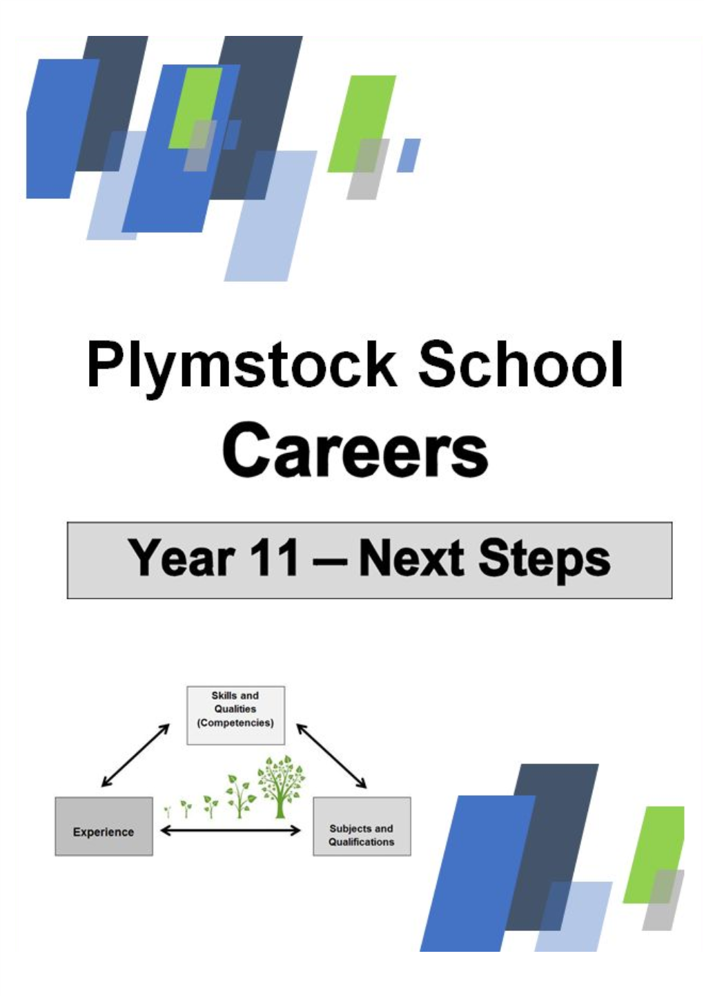 Plymstock School We Recommend That All Students Have a Preferred Option and a Realistic Backup Plan