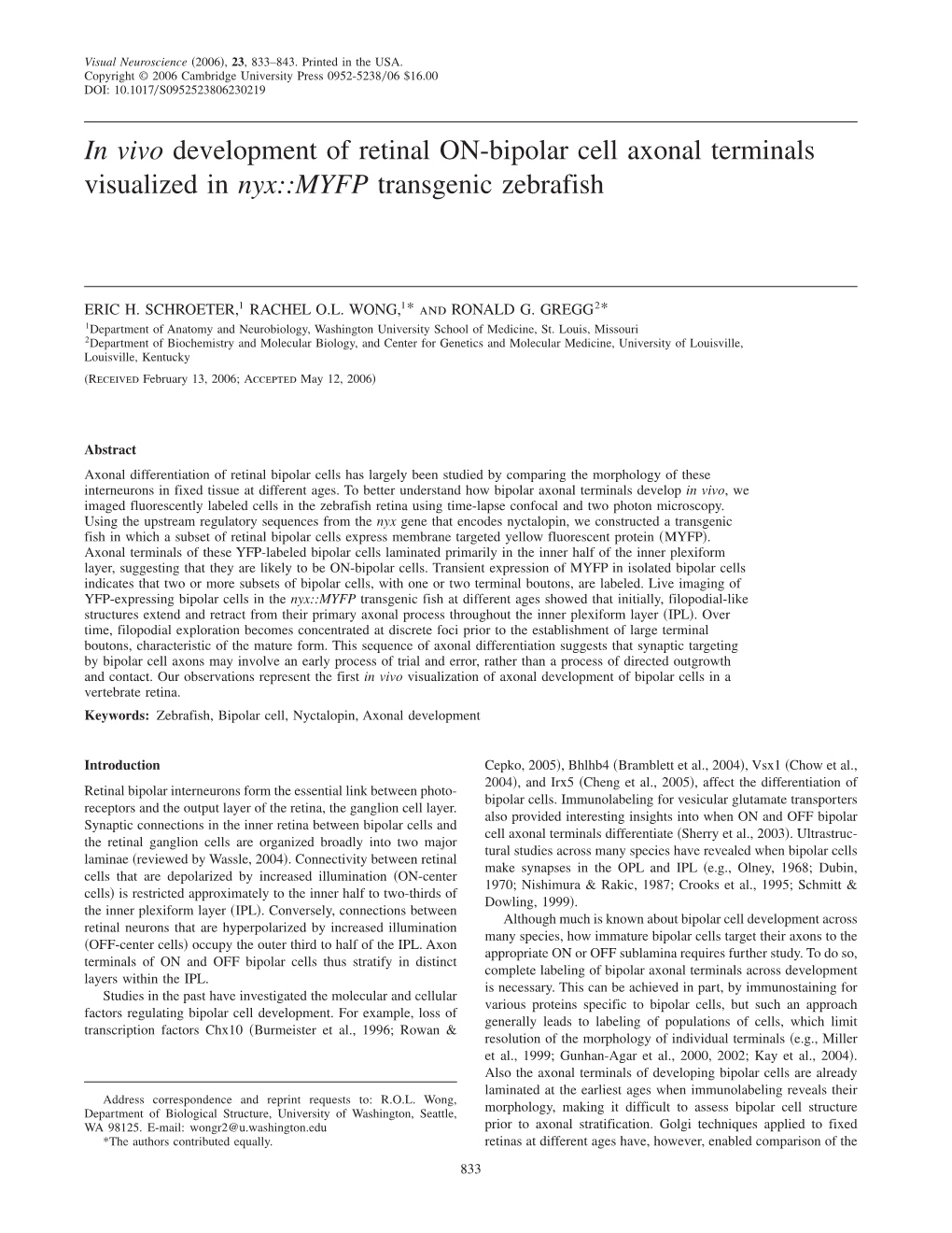 In Vivo Development of Retinal ON-Bipolar Cell Axonal Terminals Visualized in Nyx::MYFP Transgenic Zebrafish