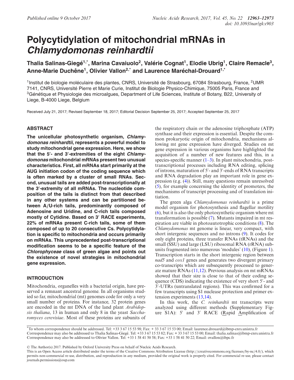 Chlamydomonas Reinhardtii