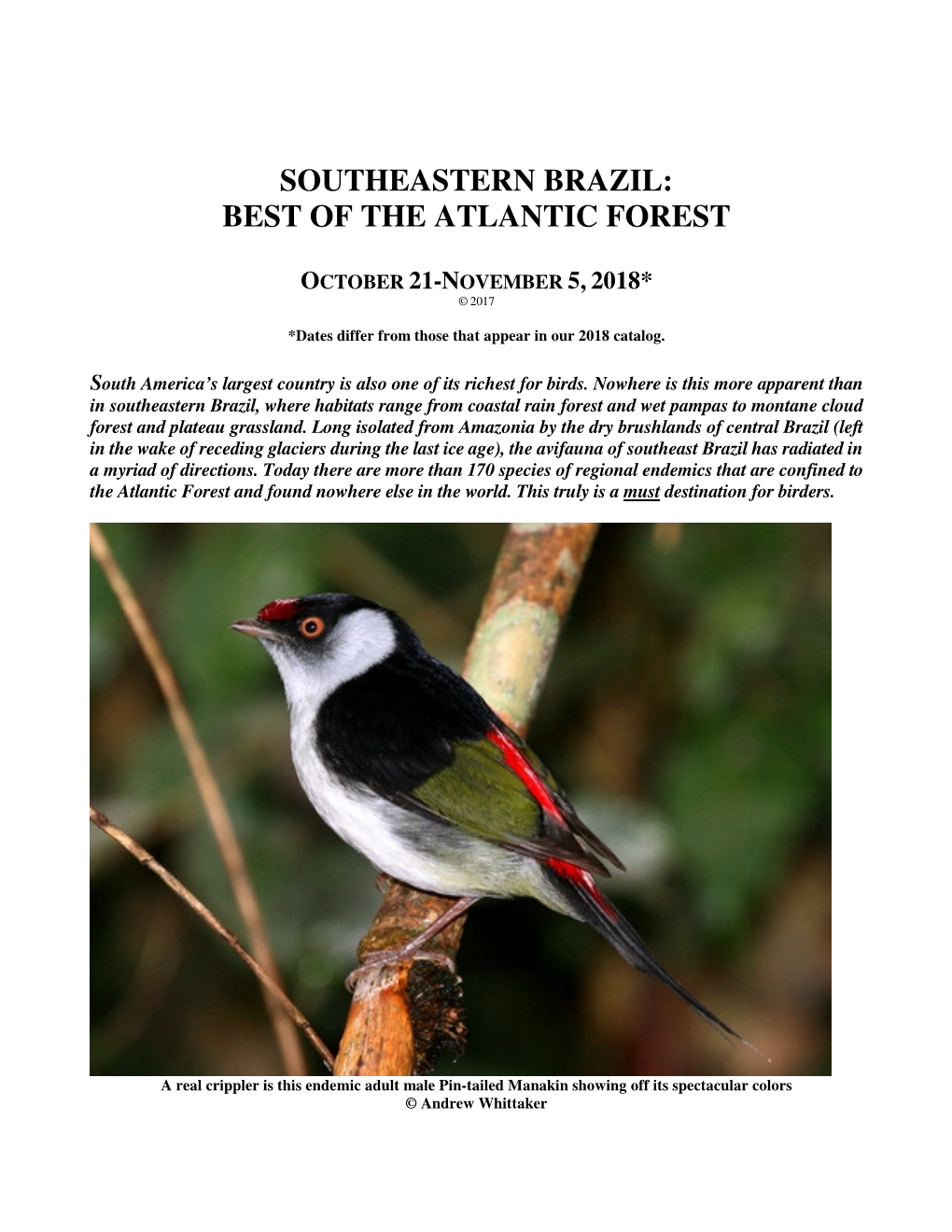 Southeastern Brazil: Best of the Atlantic Forest