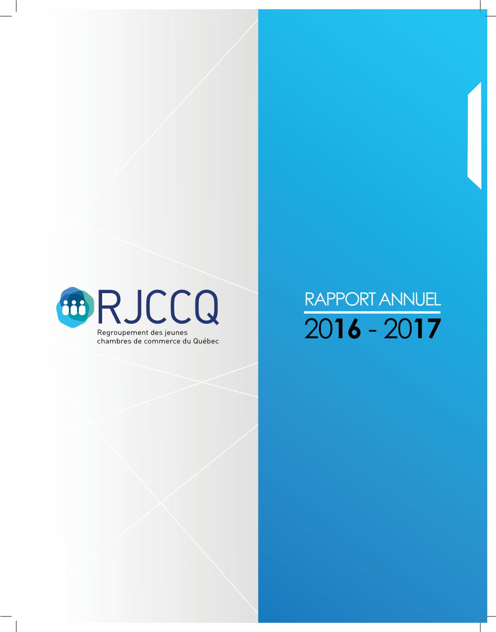 Rapport Annuel 2016-2017