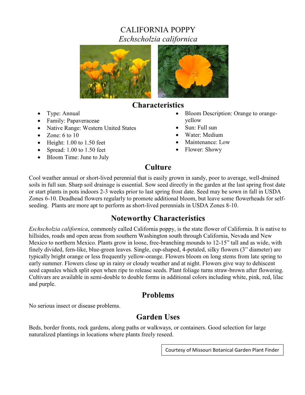 CALIFORNIA POPPY Eschscholzia Californica Characteristics Culture