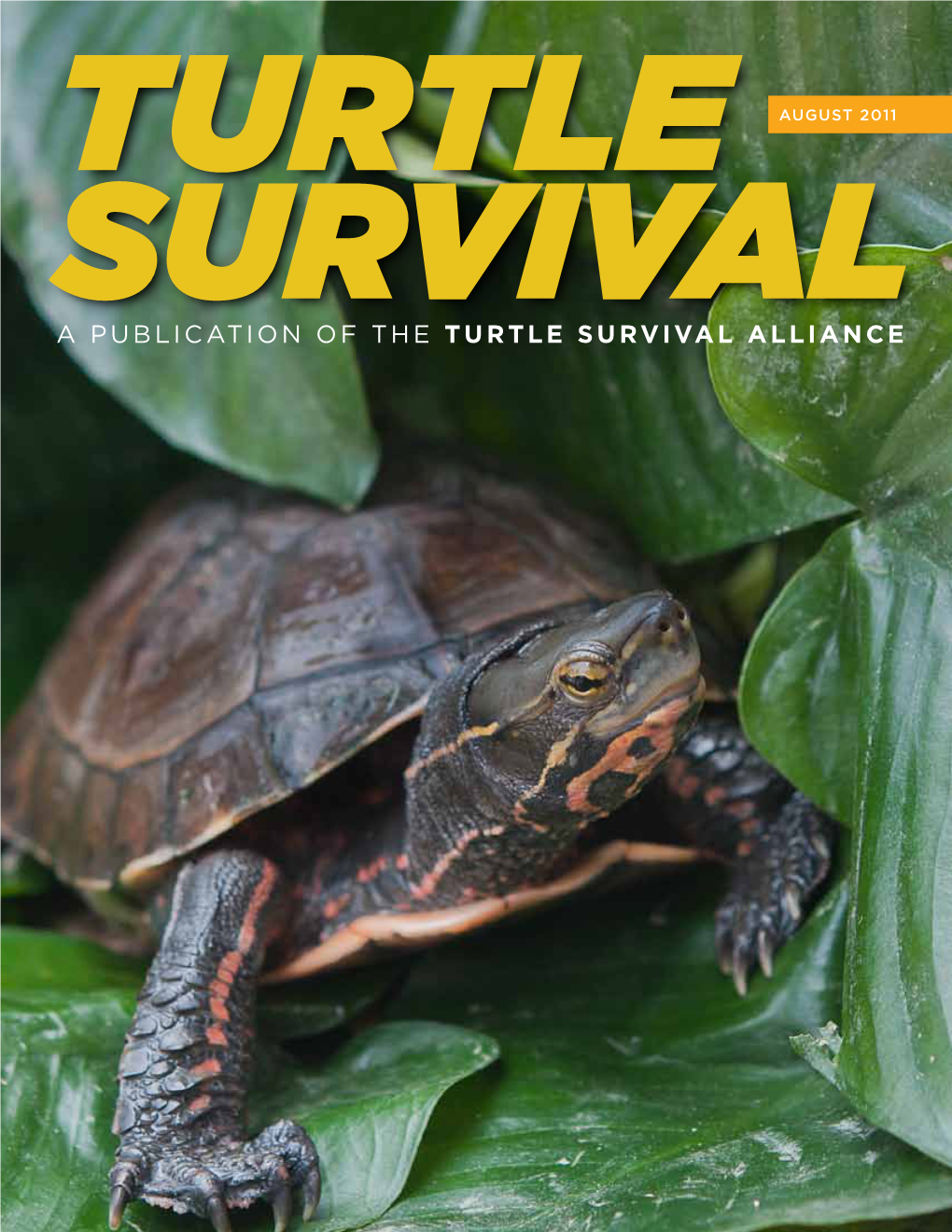 A Publication of the Turtle Survival Alliance Rick Hudson from the President’S Desk New People, New Facilities, New Programs: a Year of Remarkable Growth for the TSA