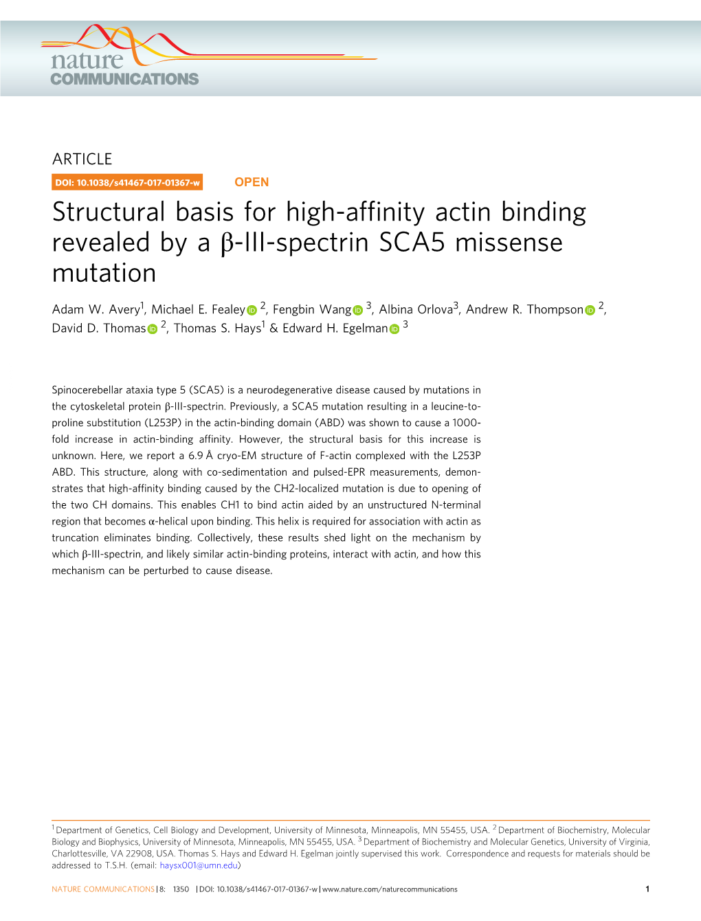 Structural Basis for High-Affinity Actin Binding Revealed by a ОІ-III-Spectrin